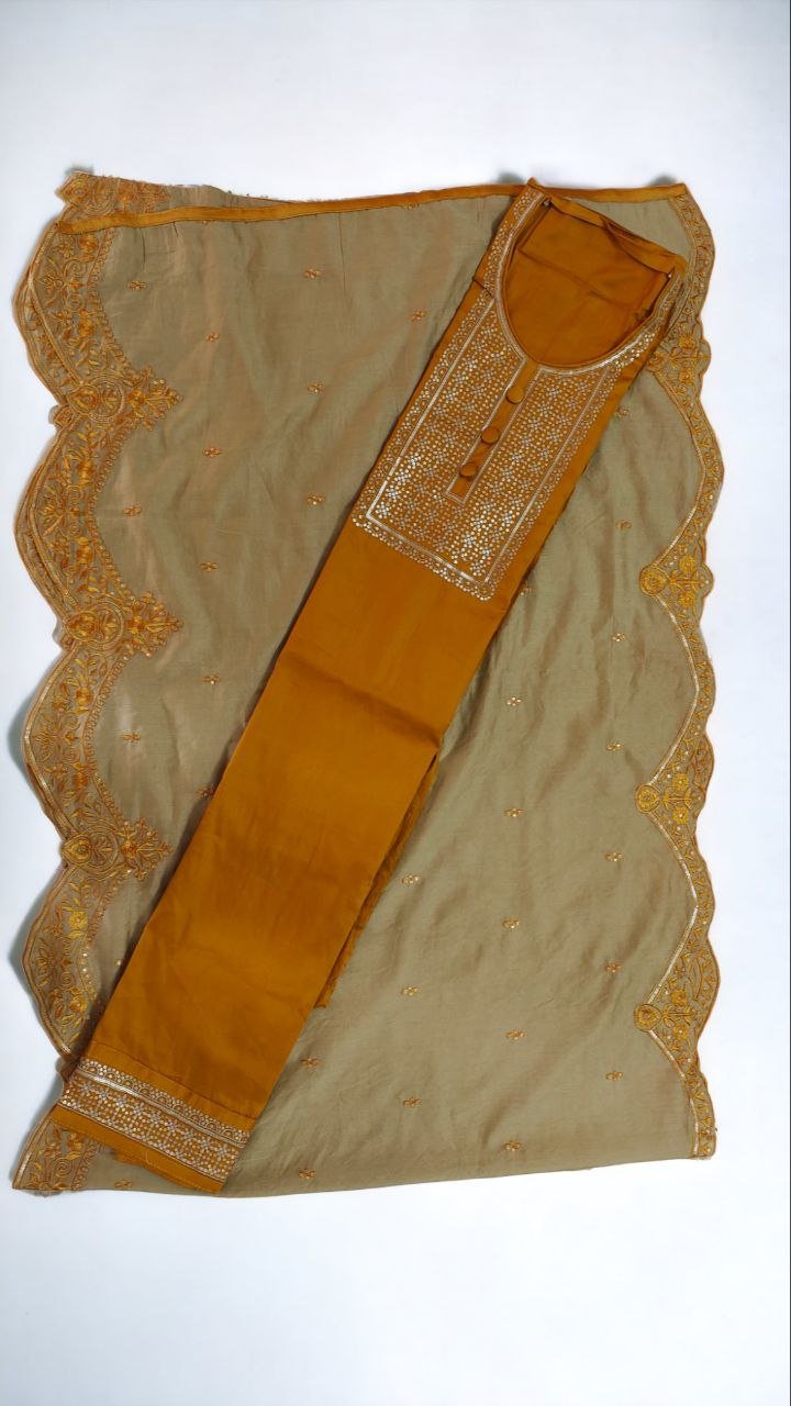 Sequince kurti Designs