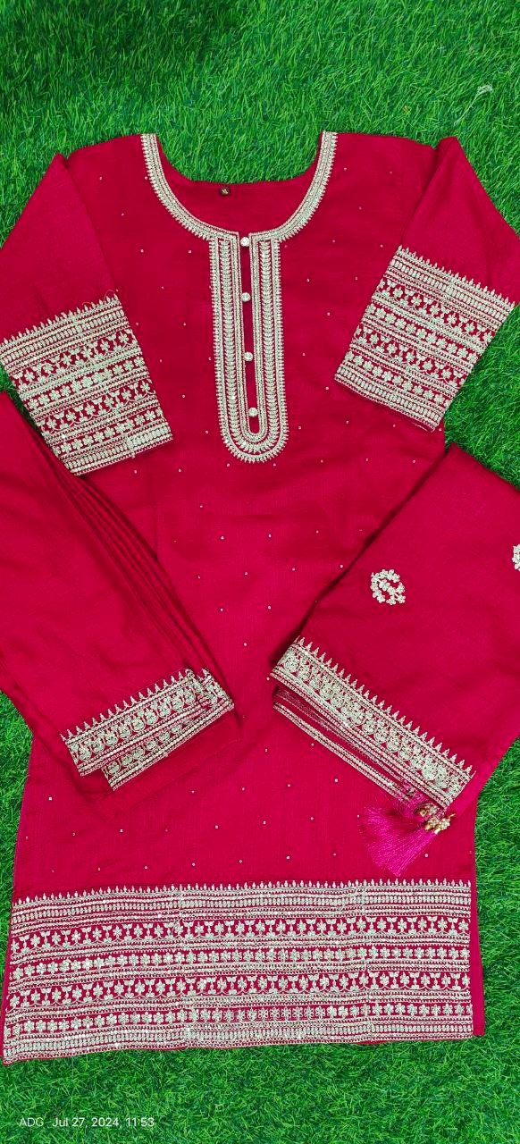 fancy top & daman