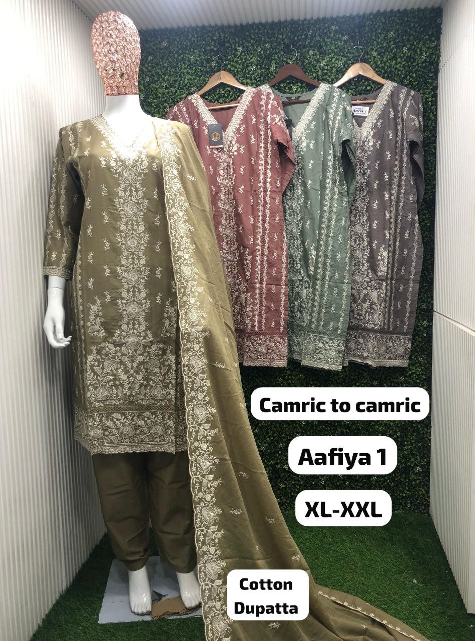 fancy top PENAL  & DUPATTA